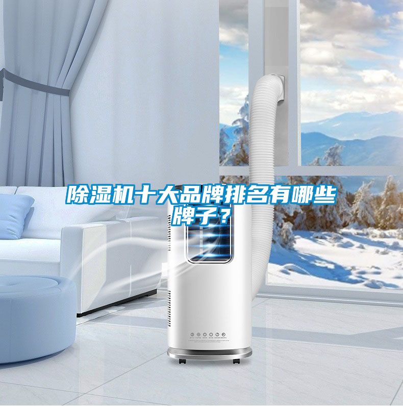 除濕機十大品牌排名有哪些牌子？