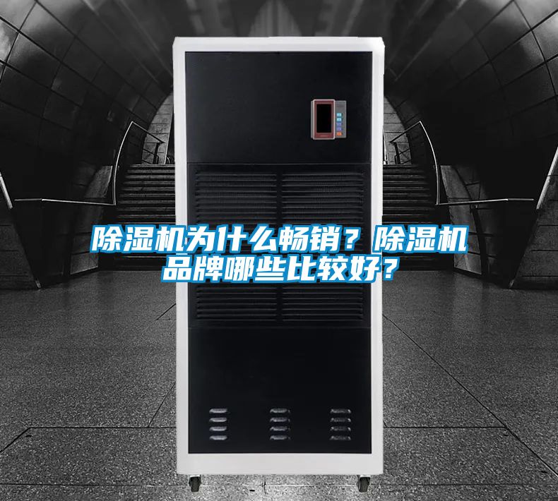 除濕機(jī)為什么暢銷(xiāo)？除濕機(jī)品牌哪些比較好？