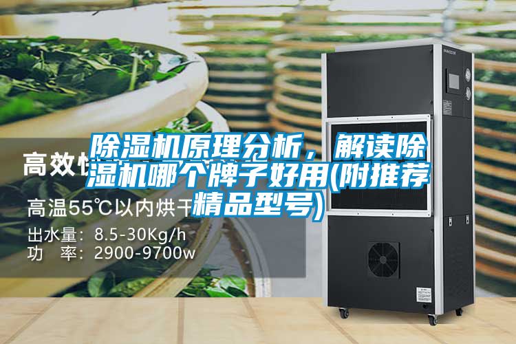 除濕機(jī)原理分析，解讀除濕機(jī)哪個(gè)牌子好用(附推薦精品型號)