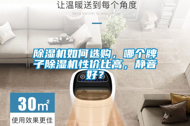 除濕機(jī)如何選購(gòu)，哪個(gè)牌子除濕機(jī)性價(jià)比高，靜音好？