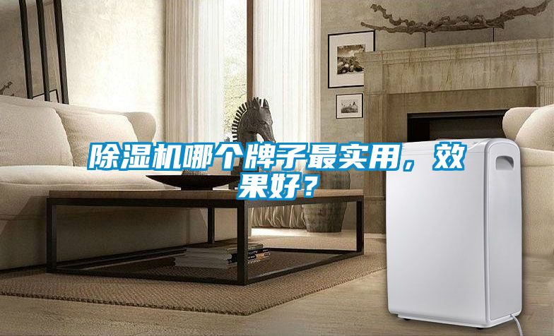 除濕機哪個牌子最實用，效果好？