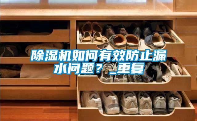 除濕機如何有效防止漏水問題？_重復(fù)
