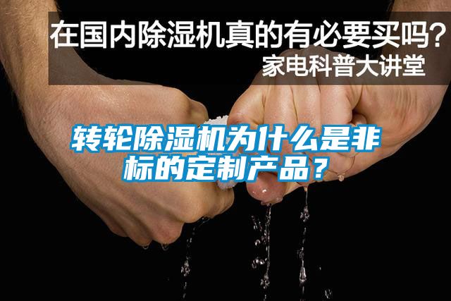 轉輪除濕機為什么是非標的定制產品？