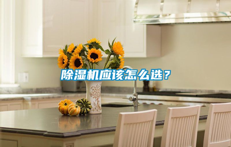 除濕機應(yīng)該怎么選？