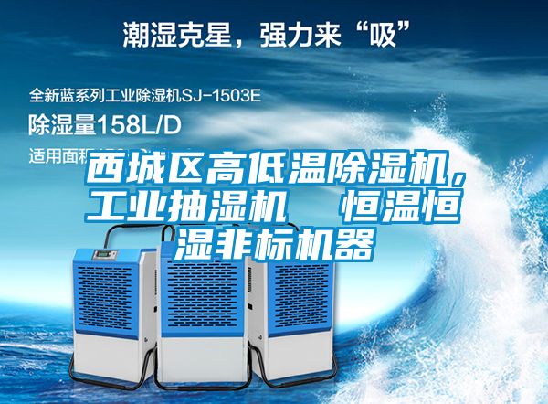 西城區(qū)高低溫除濕機(jī)，工業(yè)抽濕機(jī)  恒溫恒濕非標(biāo)機(jī)器