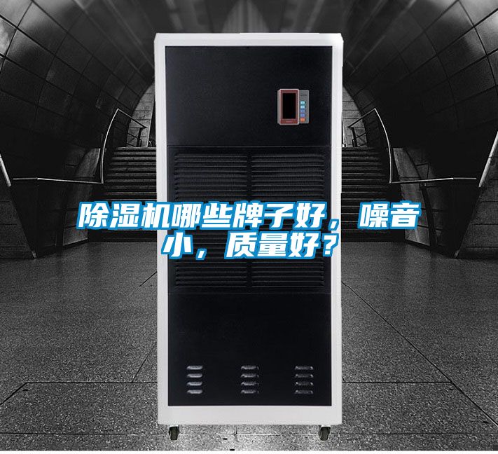除濕機哪些牌子好，噪音小，質量好？