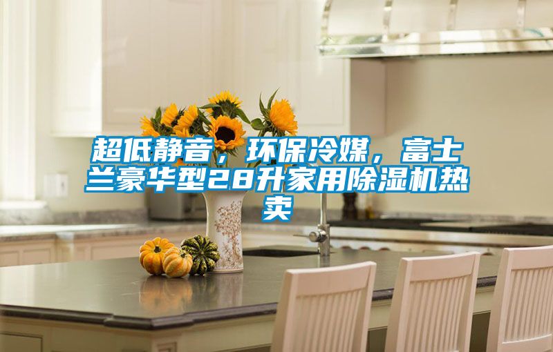 超低靜音，環(huán)保冷媒，富士蘭豪華型28升家用除濕機(jī)熱賣
