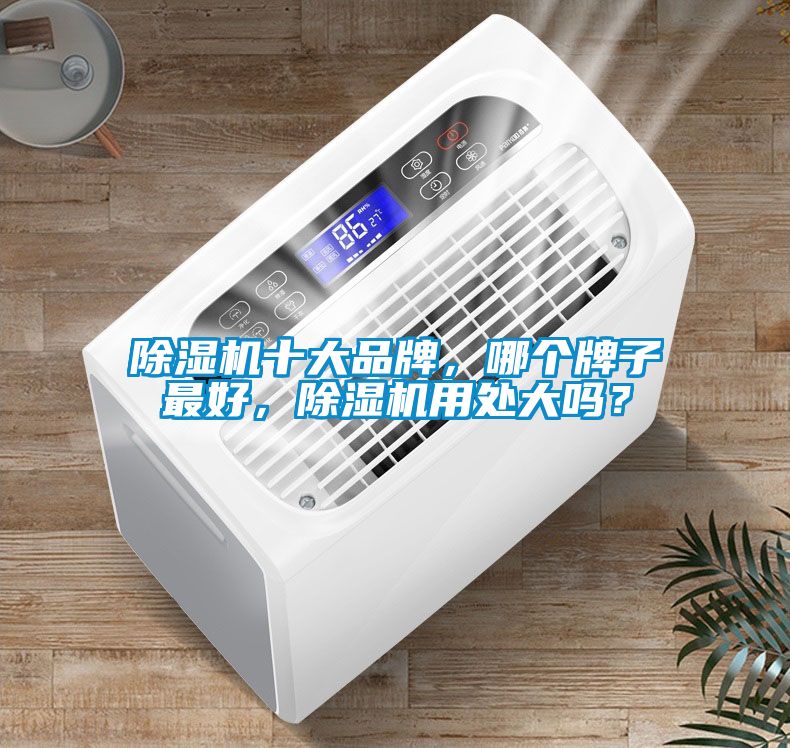 除濕機十大品牌，哪個牌子最好，除濕機用處大嗎？