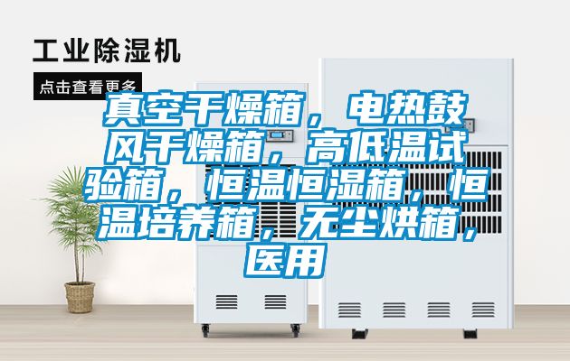 真空干燥箱，電熱鼓風(fēng)干燥箱，高低溫試驗箱，恒溫恒濕箱，恒溫培養(yǎng)箱，無塵烘箱，醫(yī)用