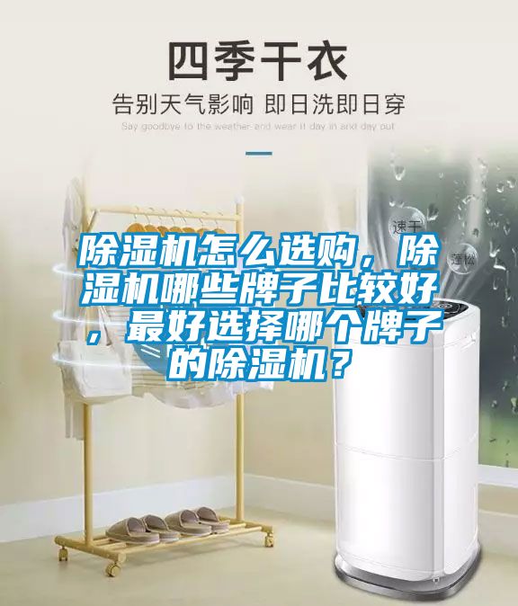 除濕機怎么選購，除濕機哪些牌子比較好，最好選擇哪個牌子的除濕機？