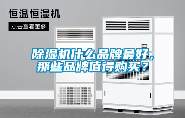 除濕機(jī)什么品牌最好，那些品牌值得購買？