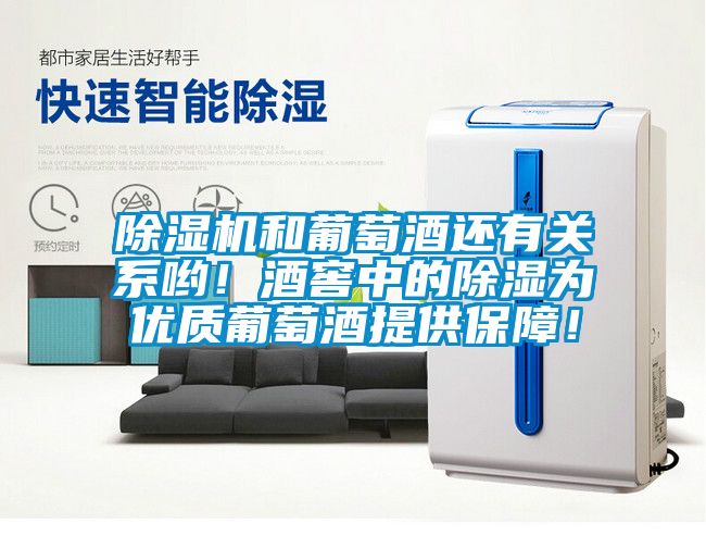 除濕機(jī)和葡萄酒還有關(guān)系喲！酒窖中的除濕為優(yōu)質(zhì)葡萄酒提供保障！