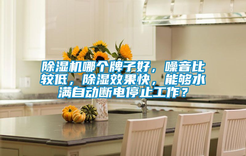 除濕機(jī)哪個(gè)牌子好，噪音比較低，除濕效果快，能夠水滿自動(dòng)斷電停止工作？