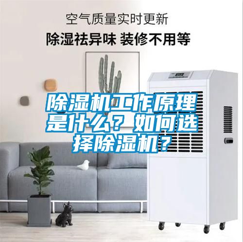 除濕機(jī)工作原理是什么？如何選擇除濕機(jī)？