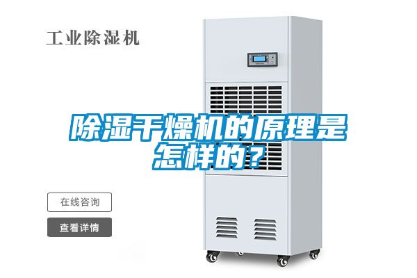除濕干燥機的原理是怎樣的？