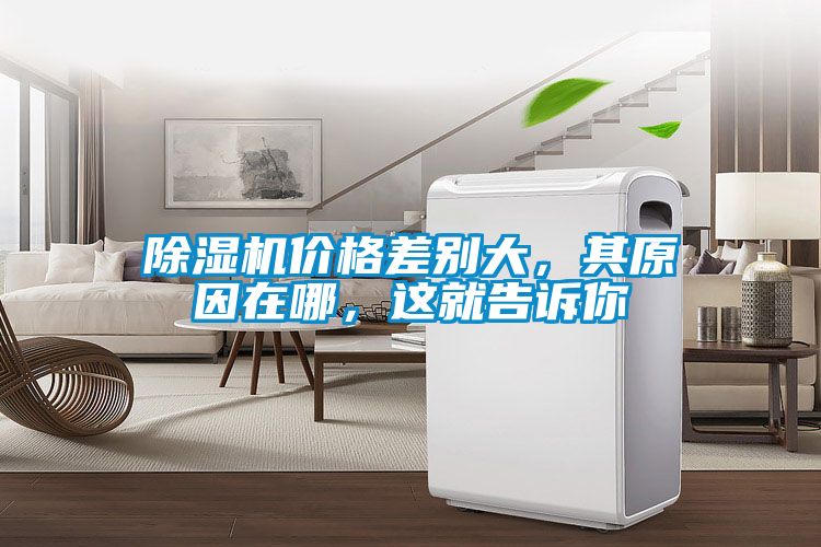 除濕機(jī)價(jià)格差別大，其原因在哪，這就告訴你