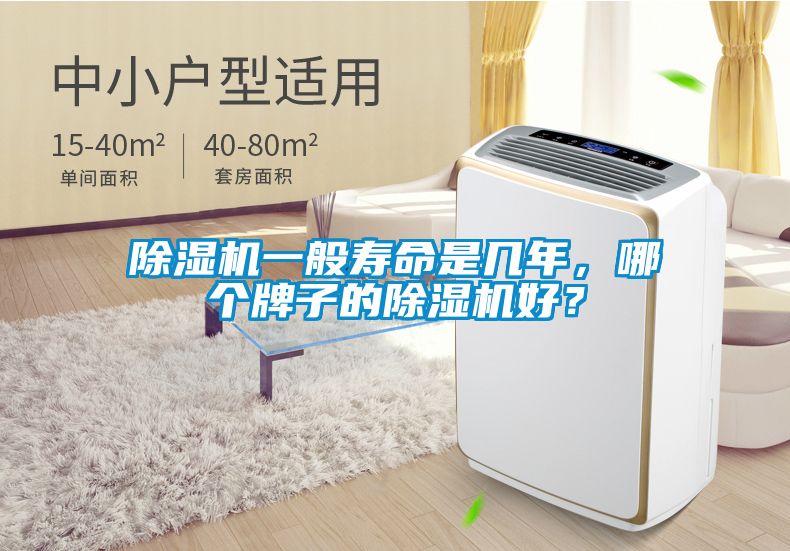 除濕機一般壽命是幾年，哪個牌子的除濕機好？