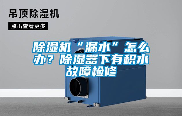 除濕機“漏水”怎么辦？除濕器下有積水故障檢修