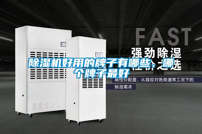 除濕機好用的牌子有哪些，哪個牌子最好
