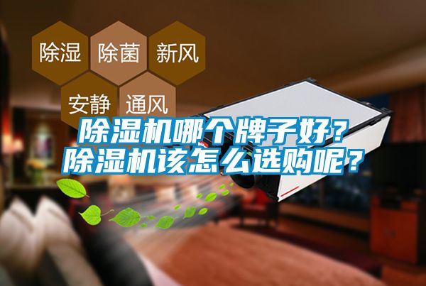 除濕機(jī)哪個(gè)牌子好？除濕機(jī)該怎么選購呢？