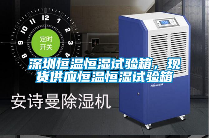深圳恒溫恒濕試驗箱，現(xiàn)貨供應恒溫恒濕試驗箱