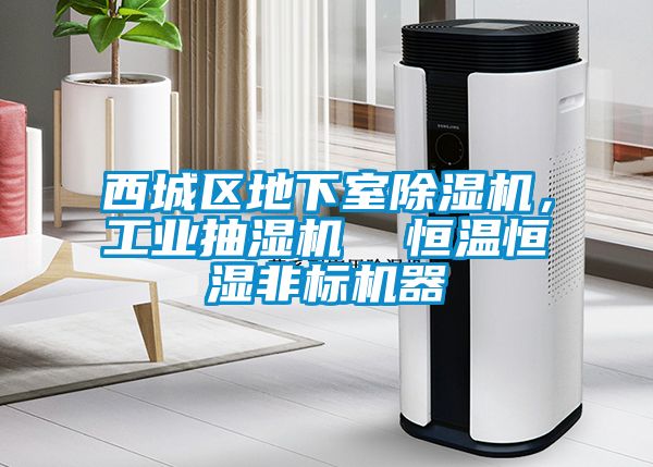 西城區(qū)地下室除濕機(jī)，工業(yè)抽濕機(jī)  恒溫恒濕非標(biāo)機(jī)器