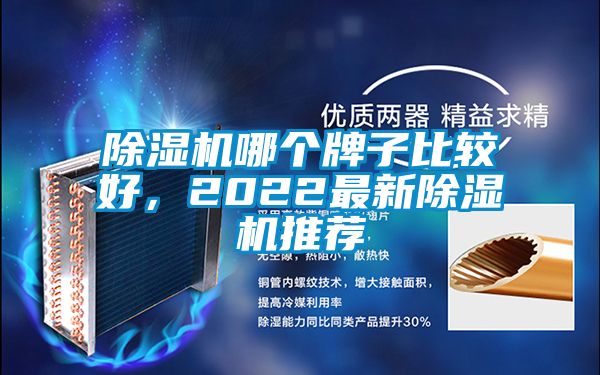 除濕機哪個牌子比較好，2022最新除濕機推薦