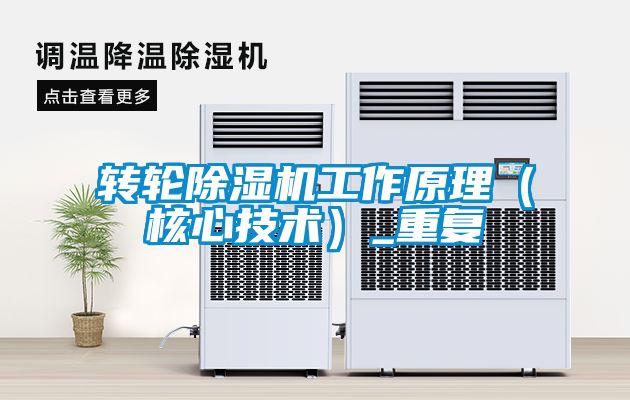 轉(zhuǎn)輪除濕機工作原理（核心技術(shù)）_重復