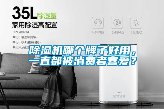 除濕機(jī)哪個(gè)牌子好用，一直都被消費(fèi)者喜愛？