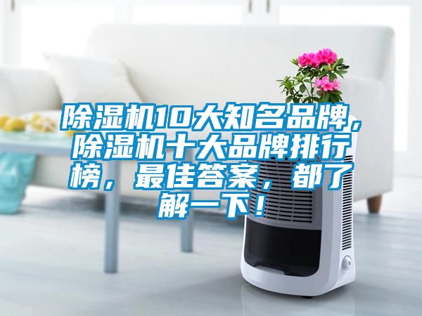 除濕機10大知名品牌，除濕機十大品牌排行榜，最佳答案，都了解一下！