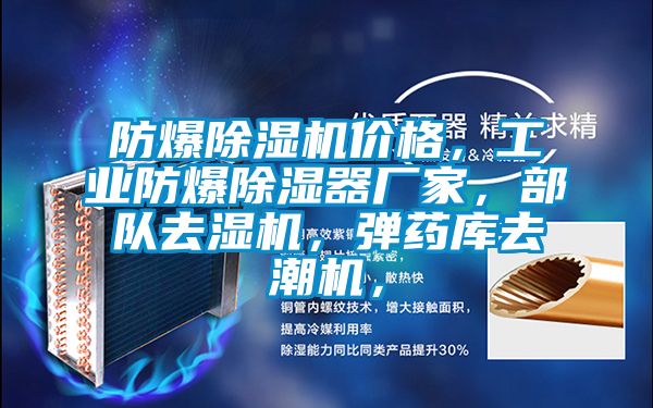防爆除濕機價格，工業(yè)防爆除濕器廠家，部隊去濕機，彈藥庫去潮機，