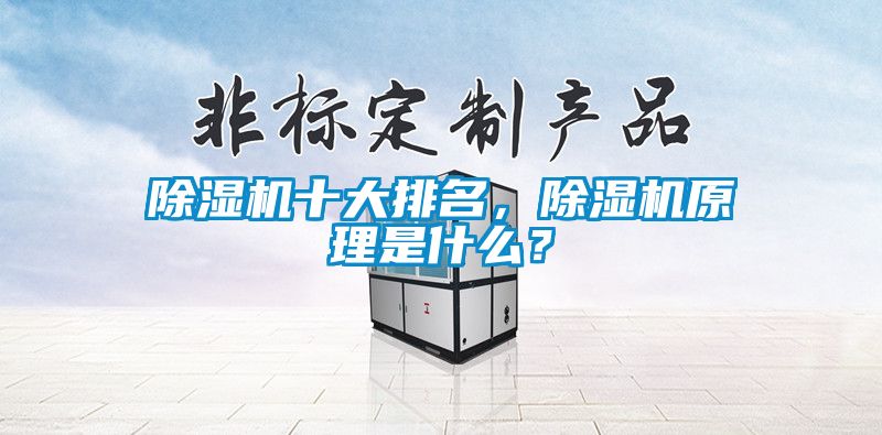 除濕機(jī)十大排名，除濕機(jī)原理是什么？