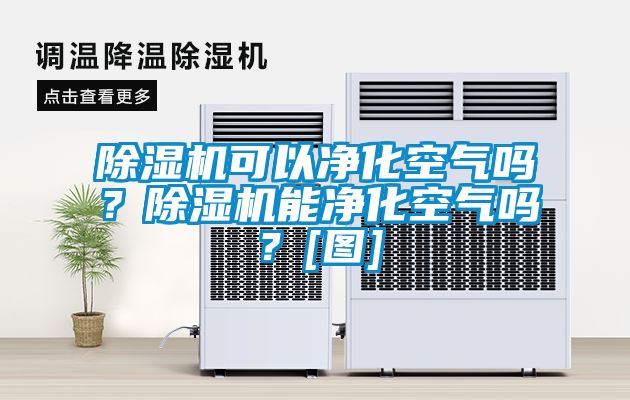 除濕機(jī)可以凈化空氣嗎？除濕機(jī)能凈化空氣嗎？[圖]