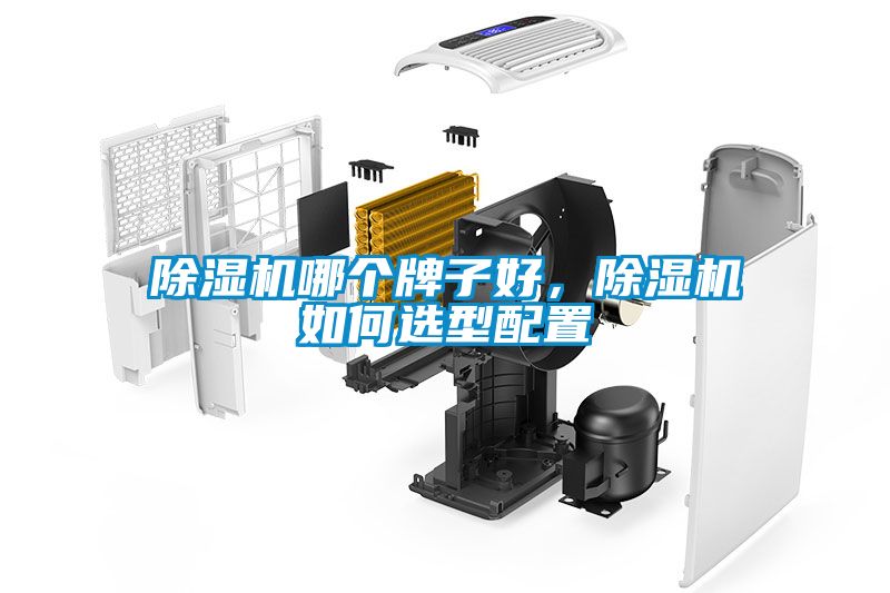 除濕機(jī)哪個(gè)牌子好，除濕機(jī)如何選型配置