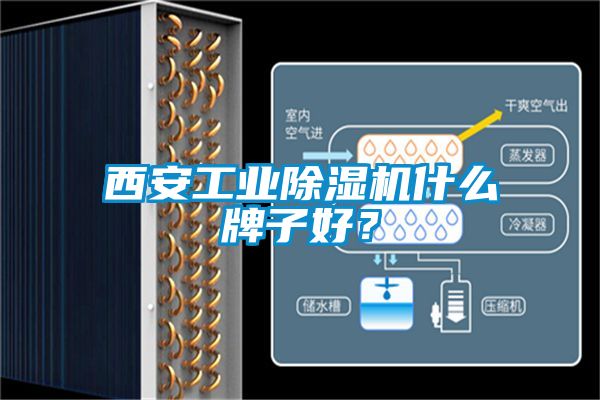 西安工業(yè)除濕機(jī)什么牌子好？