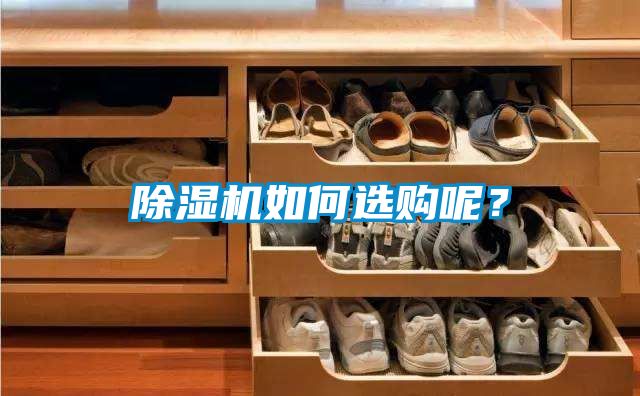 除濕機(jī)如何選購(gòu)呢？