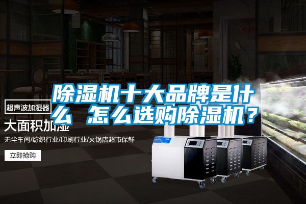 除濕機(jī)十大品牌是什么 怎么選購(gòu)除濕機(jī)？