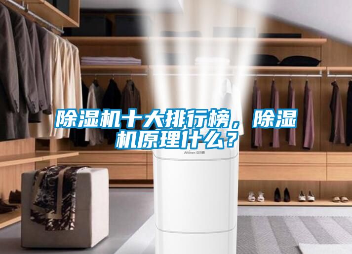 除濕機十大排行榜，除濕機原理什么？