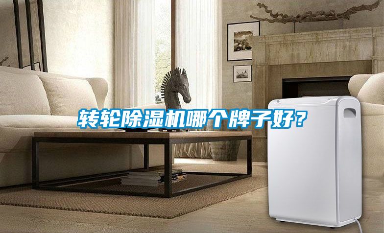 轉(zhuǎn)輪除濕機(jī)哪個(gè)牌子好？