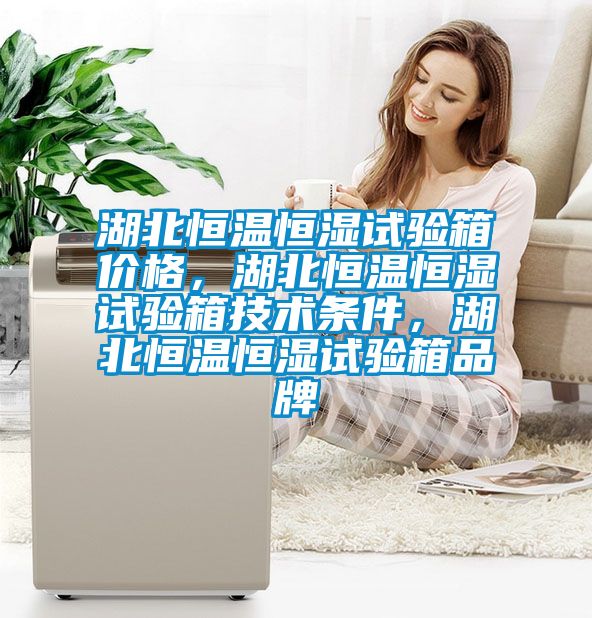 湖北恒溫恒濕試驗(yàn)箱價格，湖北恒溫恒濕試驗(yàn)箱技術(shù)條件，湖北恒溫恒濕試驗(yàn)箱品牌