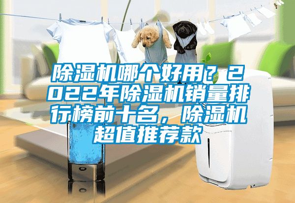 除濕機(jī)哪個(gè)好用？2022年除濕機(jī)銷量排行榜前十名，除濕機(jī)超值推薦款