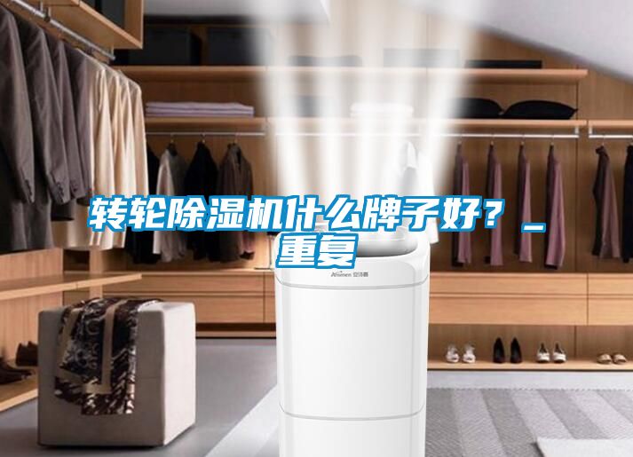 轉(zhuǎn)輪除濕機(jī)什么牌子好？_重復(fù)