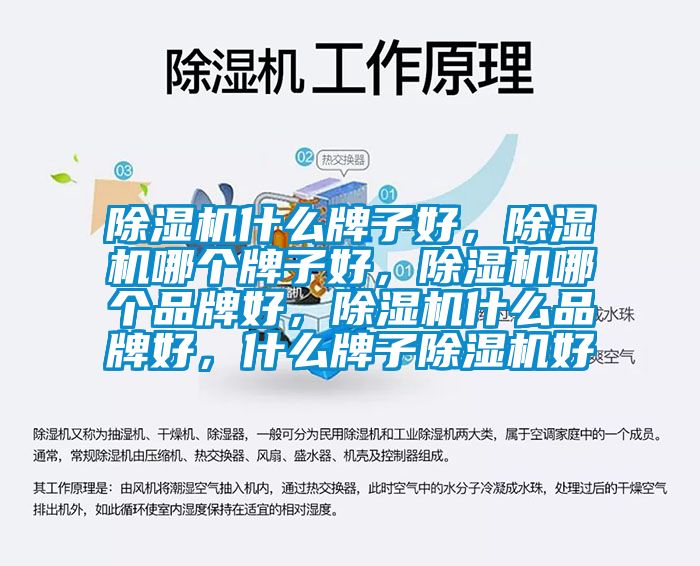 除濕機什么牌子好，除濕機哪個牌子好，除濕機哪個品牌好，除濕機什么品牌好，什么牌子除濕機好