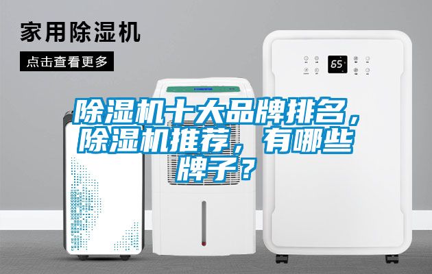 除濕機十大品牌排名，除濕機推薦，有哪些牌子？