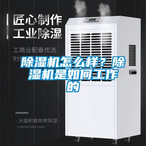 除濕機(jī)怎么樣？除濕機(jī)是如何工作的