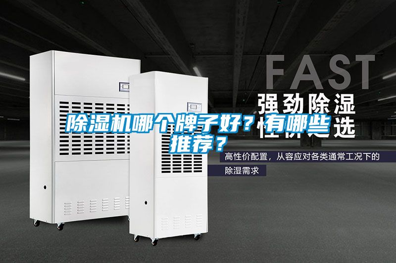 除濕機哪個牌子好？有哪些推薦？