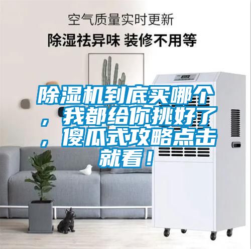 除濕機到底買哪個，我都給你挑好了，傻瓜式攻略點擊就看！