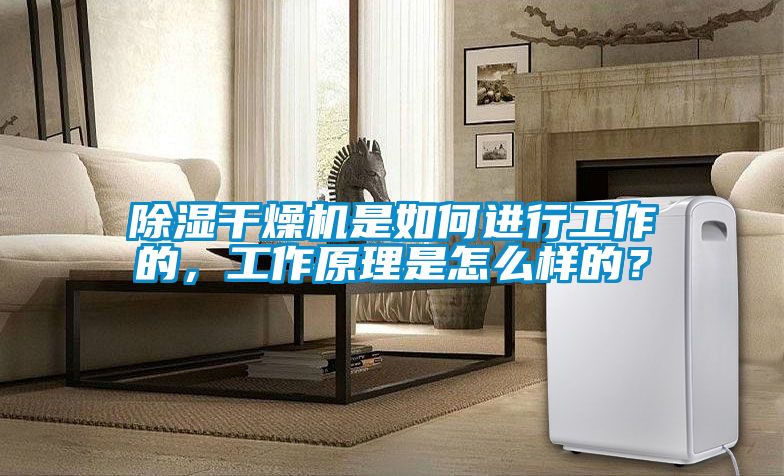 除濕干燥機是如何進行工作的，工作原理是怎么樣的？