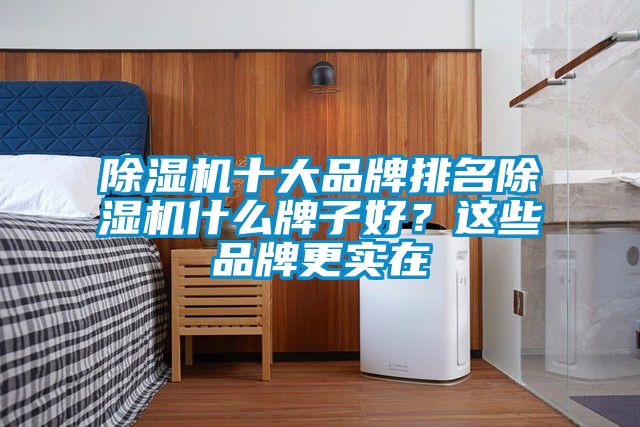 除濕機十大品牌排名除濕機什么牌子好？這些品牌更實在