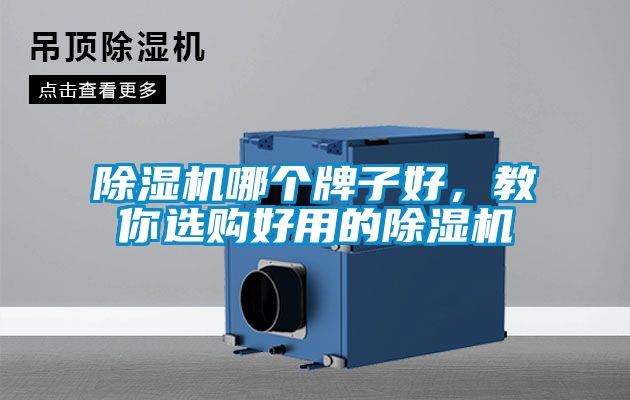 除濕機(jī)哪個(gè)牌子好，教你選購好用的除濕機(jī)